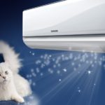 A legjobb gyűjtemények és sorozatok