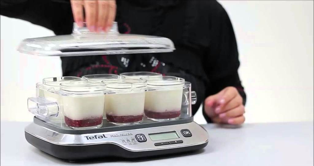 Hur man väljer och köper en yoghurttillverkare - foto De bästa yoghurttillverkarna i vår ranking!