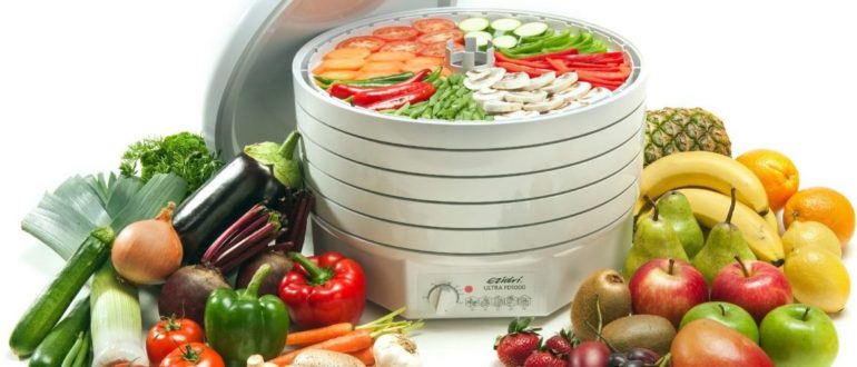 A legjobb gyümölcs- és zöldségszárítók vélemények szerint