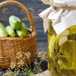 Válassza ki a legjobb uborkafajtákat