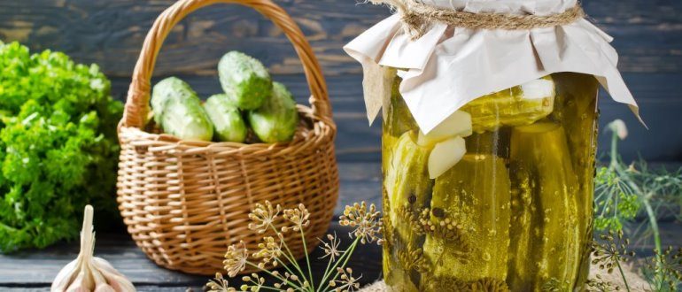 Válassza ki a legjobb uborkafajtákat