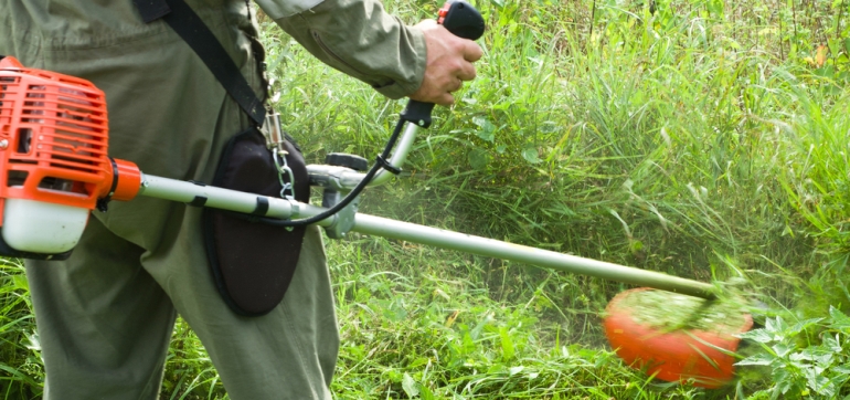 válasszon egy kerti benzinvágót