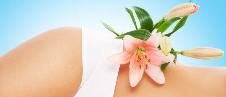 Válasszon gyertyát a rigóból