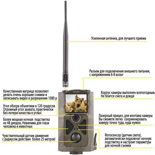 Miből áll egy csapda és hogyan válasszuk ki? Csapda eszköz