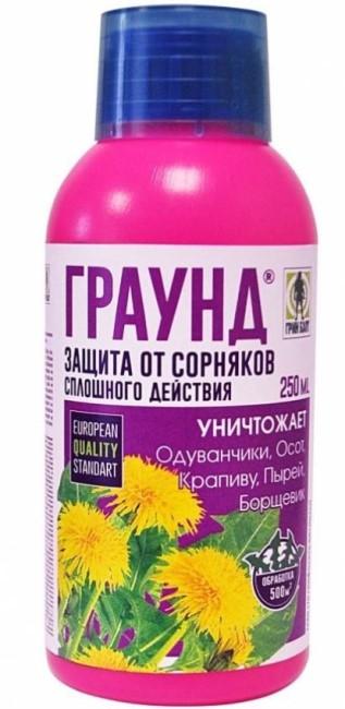 TechnoExport földi fotó