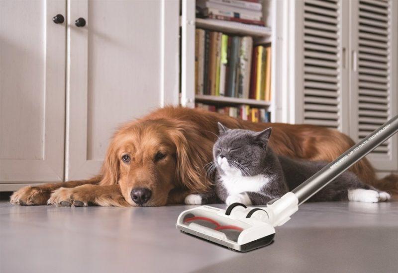 Eviniz için en iyi dikey kablosuz elektrikli süpürgeyi seçme