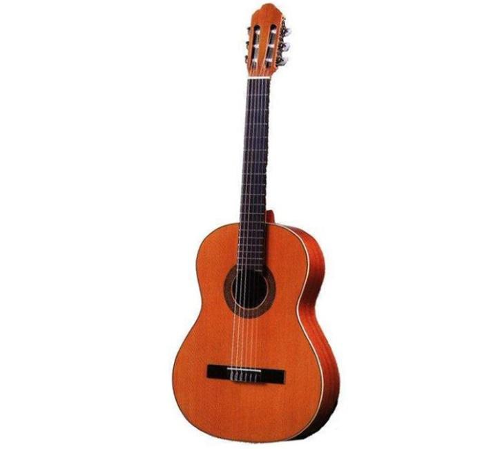 Dobra akustična gitara Antonio Sanchez S-1005 Antonio Sanchez S-1005 fotografija