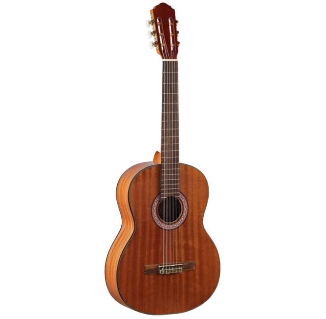 Gitara Martinez C-95 Martinez C-95 fotografija