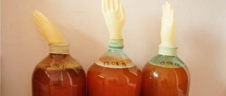 A legjobb házi borreceptek