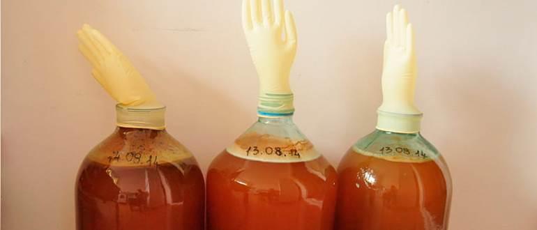 A legjobb házi borreceptek